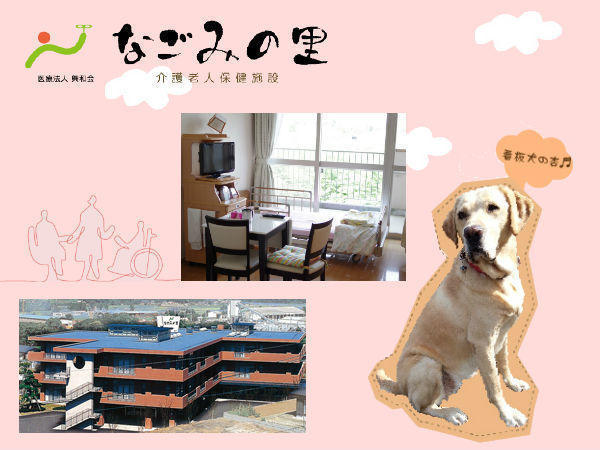 介護老人保健施設　なごみの里（常勤）の介護職求人の写真