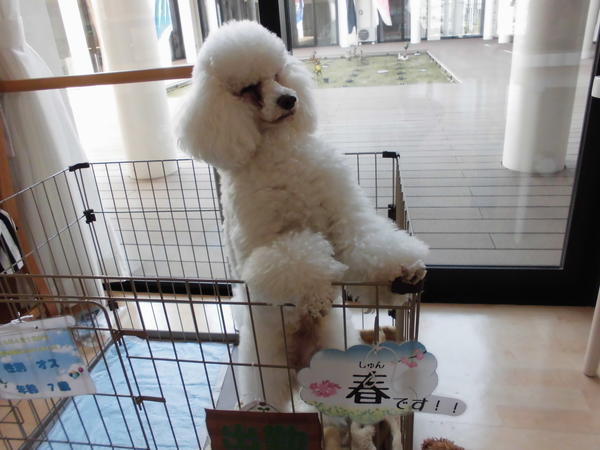 アグリ・ケアホーム　いこいの森（常勤）の看護師求人メイン写真3