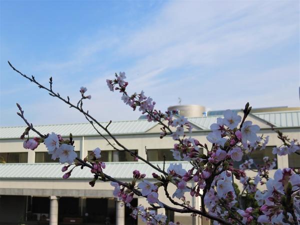 大府病院（常勤）の介護職求人メイン写真2