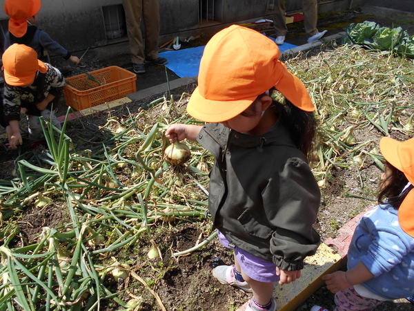 姉川病院 すくすく保育園（常勤）の保育士求人メイン写真3