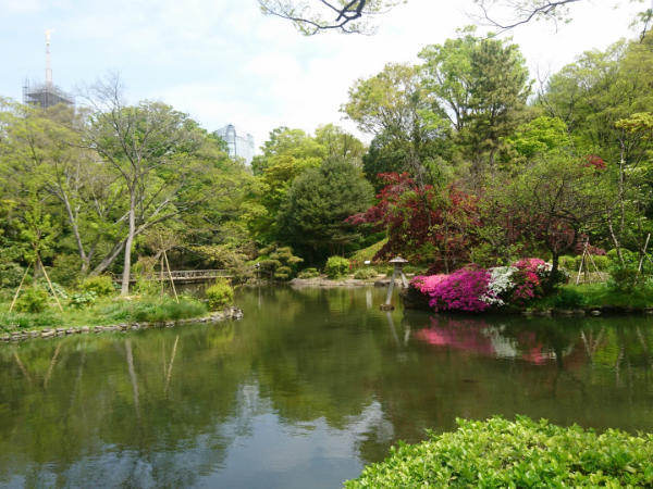 特別養護老人ホーム 南麻布シニアガーデン アリス(ユニットリーダー候補/常勤)の介護福祉士求人サブ写真2