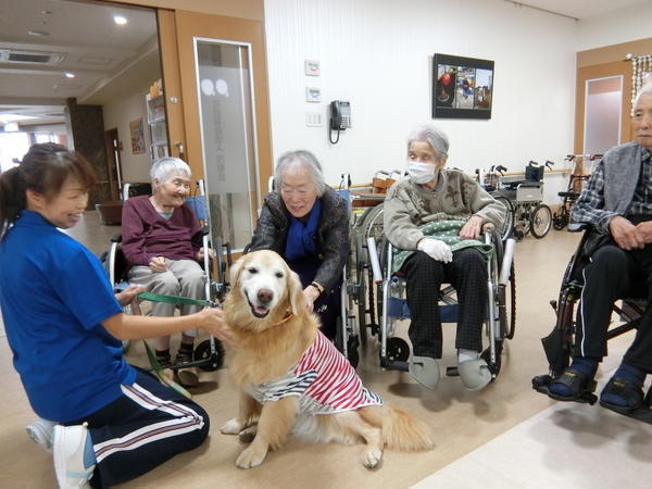 喜びの里鷲宮デイサービス（パート）の介護職求人メイン写真3