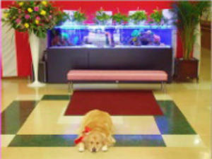 特別養護老人ホーム 椿寿(常勤)の介護職求人サブ写真1