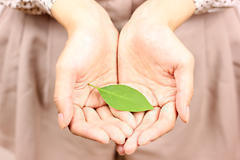 特別養護老人ホーム 袋井ゆうあいの里（パート）の介護職求人サブ写真1