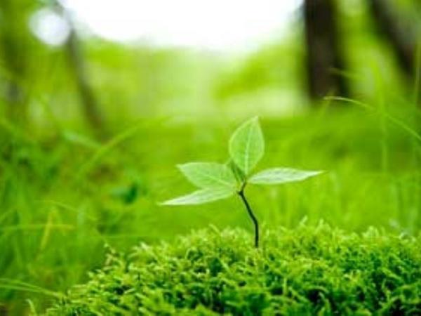 小野内科医院(常勤)の看護助手求人サブ写真1