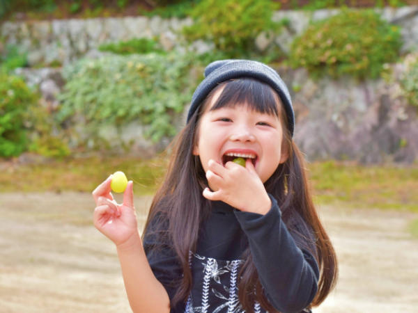 すくすくキッズ（午前パート）の保育士求人の写真