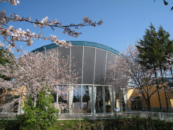 羽生市医師会 介護老人保健施設 カノープス☆羽生（パート）の介護職求人メイン写真2