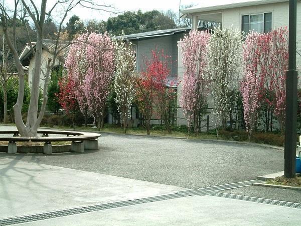 介護老人保健施設 宮沢の里 はなもも苑（日勤常勤）の看護師求人メイン写真4