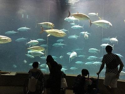 特別養護老人ホーム　おたけの郷（夜勤パート）の介護職求人メイン写真3