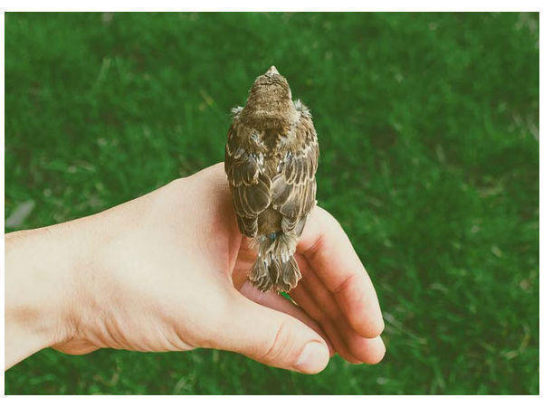 上村診療所内 健康管理室(常勤)の看護師求人の写真