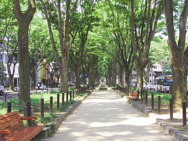 けやき在宅診療所（常勤）の看護師求人メイン写真2