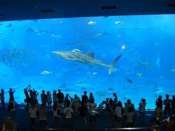 介護老人保健施設 和光園（契約社員/常勤）の介護福祉士求人メイン写真3