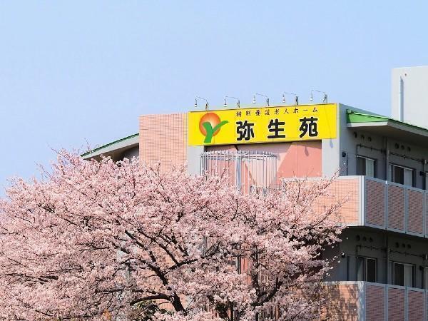 特別養護老人ホーム 弥生苑（常勤）の介護職求人メイン写真2