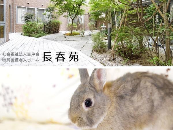 特別養護老人ホーム 長春苑(常勤)の介護福祉士求人の写真