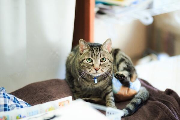 訪問介護事業所 侍(パート)の介護職求人サブ写真5