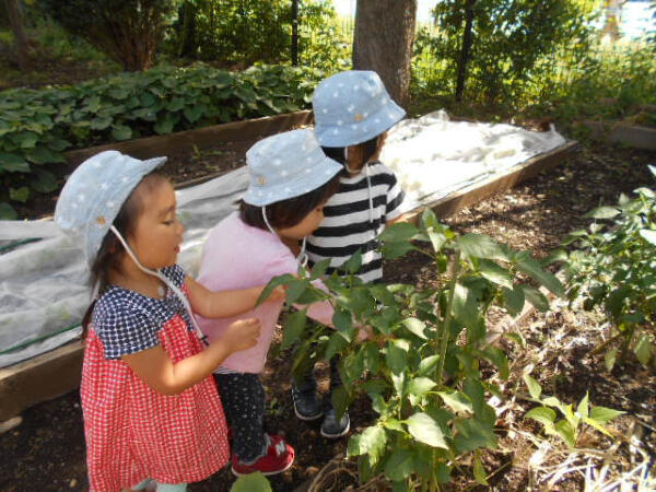 保育ルームフェリーチェ武蔵中原園（常勤）の保育士求人の写真
