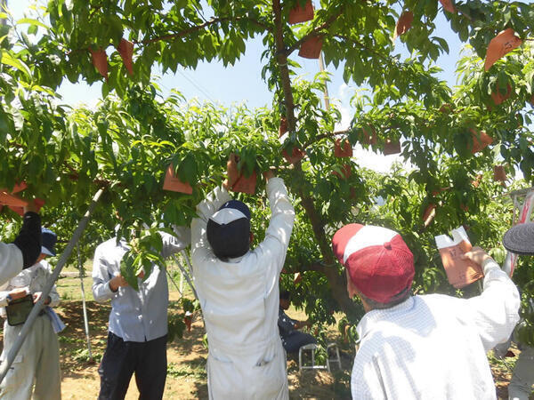 障害者支援施設 穴山の里（常勤）の支援員求人メイン写真3