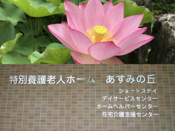 特別養護老人ホーム あすみの丘（パート）の看護師求人の写真