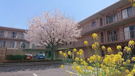 介護付有料老人ホーム エクセルシオール西国分寺の介護職求人メイン写真2