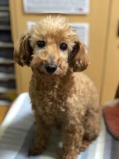 グループホーム翠嵐の風（常勤）の介護福祉士求人メイン写真2