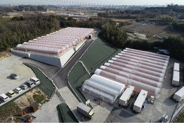 わーくはぴねす農園 川越ファーム 常勤 社会福祉士求人 採用情報 埼玉県川越市 公式求人ならコメディカルドットコム