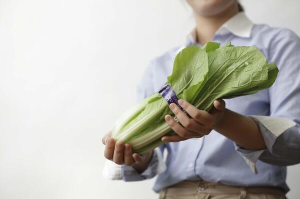 わーくはぴねす農園 川越ファーム 常勤 社会福祉士求人 採用情報 埼玉県川越市 公式求人ならコメディカルドットコム