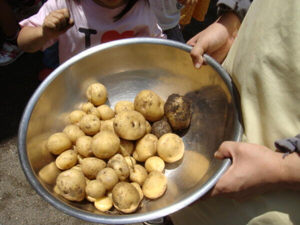コンビプラザ綾瀬保育園（常勤）の保育士求人メイン写真3