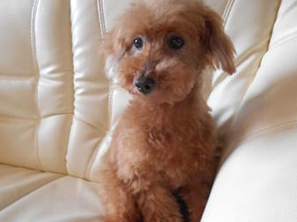 グループホーム 都築の春（パート）の介護福祉士求人の写真