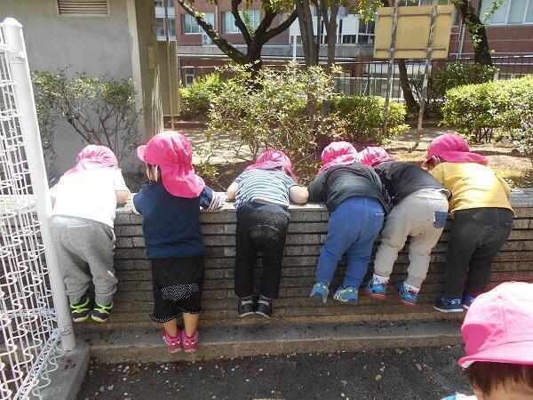コンビプラザ駒込ちどり保育園(常勤)の保育士求人の写真