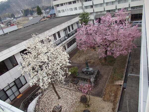 津南町高齢者生活福祉センター　通所介護事業所（常勤）の介護職求人の写真