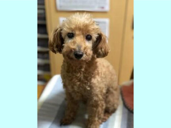 グループホーム 翠嵐の風（パート）の介護職求人メイン写真2