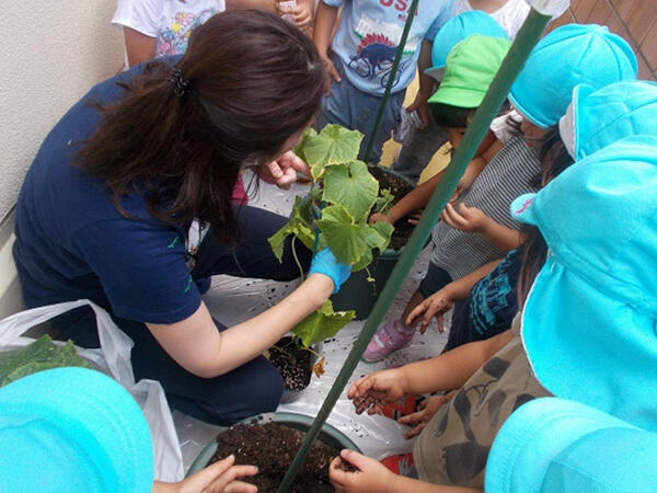 コンビプラザ善福寺保育園（常勤）の栄養士求人メイン写真3