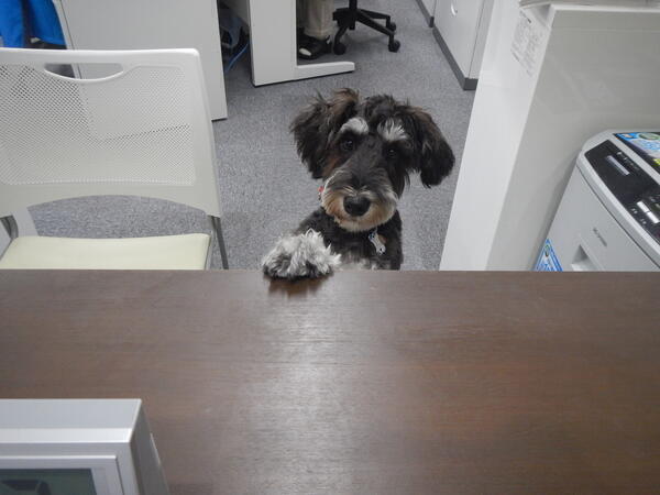 特別養護老人ホーム 太陽の家座間（常勤）の介護福祉士求人メイン写真2