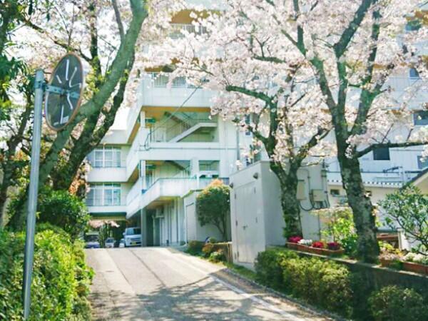 中部地域包括支援センター（常勤）のケアマネジャー求人メイン写真2