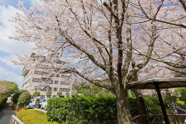 梅郷ナーシングセンター(パート)の介護職求人サブ写真1