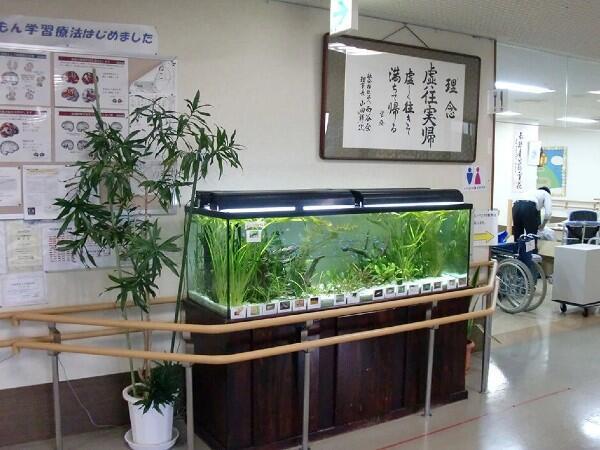 介護老人保健施設 西谷憩いの家（常勤）の介護福祉士求人メイン写真2