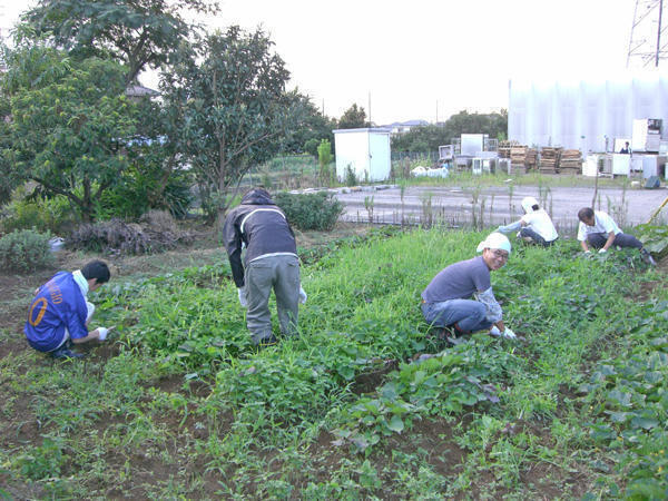 障がい者支援施設 神明苑（生活支援員/常勤）の社会福祉士求人メイン写真4