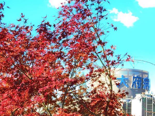 大府病院（常勤）の准看護師求人メイン写真2