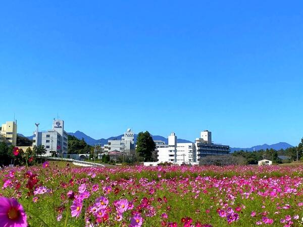 障害者支援施設 小山田苑（常勤）の看護師求人メイン写真1