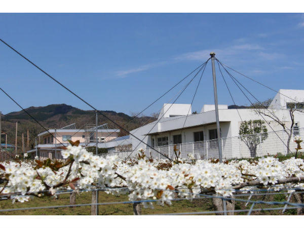 福島市吾妻西地域包括支援センター(常勤)の社会福祉士求人の写真