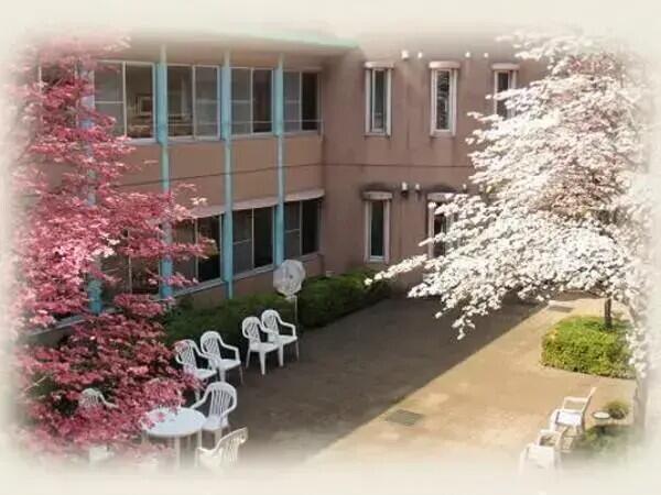 特別養護老人ホーム マザーアース（常勤）の看護師求人の写真