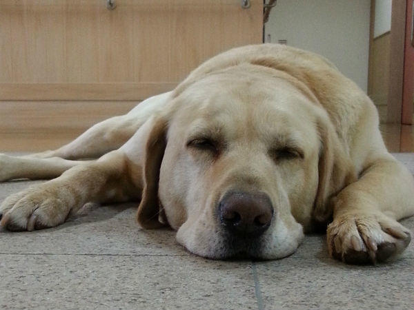 介護老人保健施設 なごみの里(常勤)の看護師求人サブ写真1