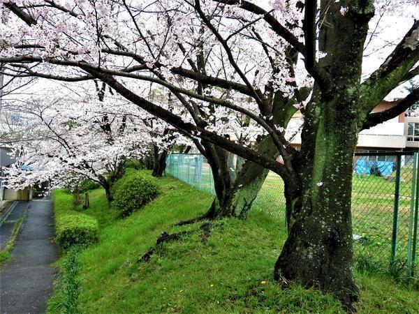 大府病院（常勤）の准看護師求人メイン写真3