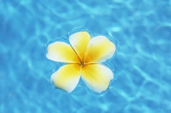 元中村眼科(常勤)の医療事務求人サブ写真1