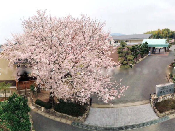 特別養護老人ホームさくら苑（常勤）の調理師/調理員求人の写真