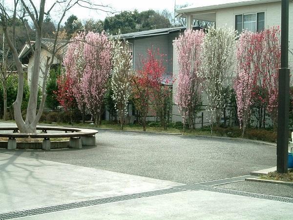 介護老人保健施設　宮沢の里 はなもも苑（パート）の作業療法士求人メイン写真4