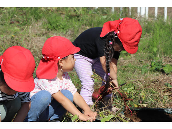 さしま保育園（常勤）の保育士求人メイン写真4