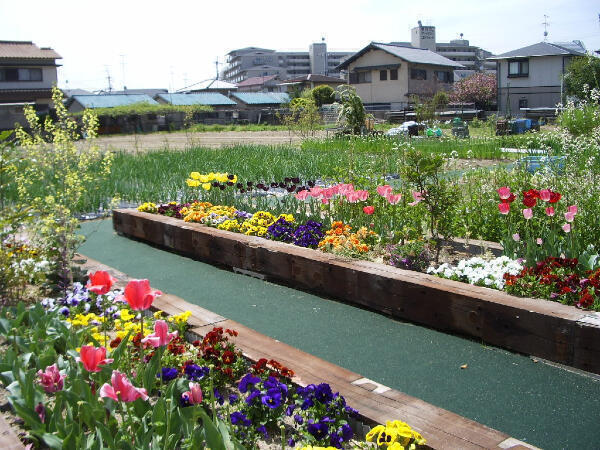 介護付有料老人ホーム ライフェール（パート）の介護職求人メイン写真3