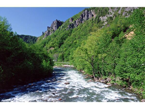 介護老人保健施設 舟形徳洲苑（常勤）の看護師求人の写真