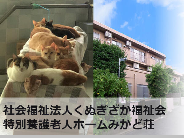 特別養護老人ホームみかど荘(常勤)の管理栄養士求人の写真